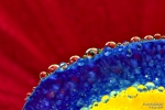 <h5>Makro 49</h5><p>Regentropfen</p>