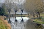 <h5>Heide Dreismann</h5><p>Geben Sie die Beschreibung ein</p>