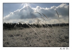 <h5>Winter in der Egge</h5>