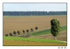 <h5>Paderborner Land</h5>