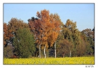 <h5>Herbstlandschaft</h5>