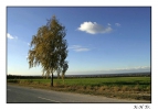 <h5>Paderborner Land</h5>