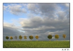 <h5>Paderborner Land</h5>