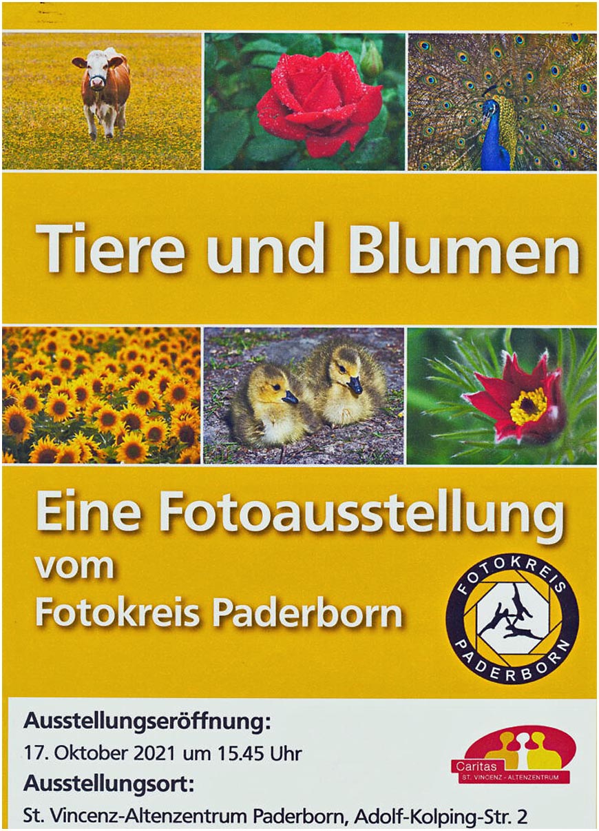 15_2021_10-17_Tiere+Blumen_Altenzentrum_Plakat_1200