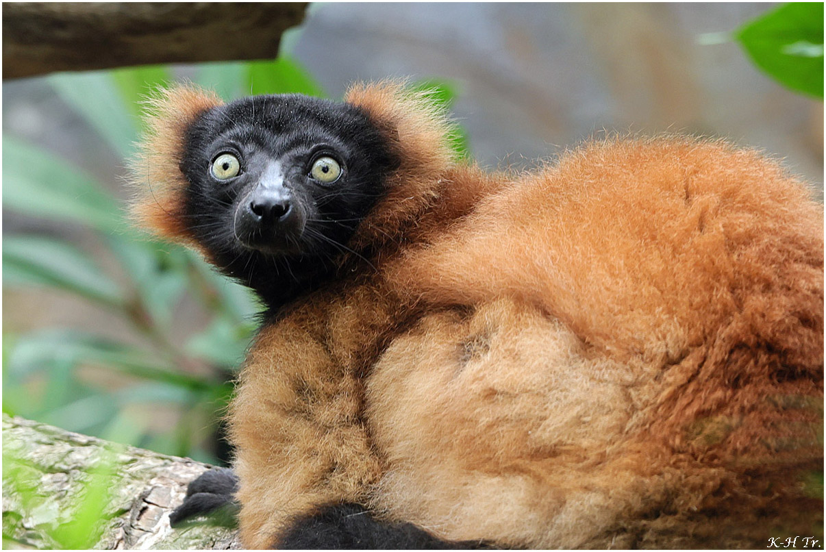 Allwetterzoo Münster